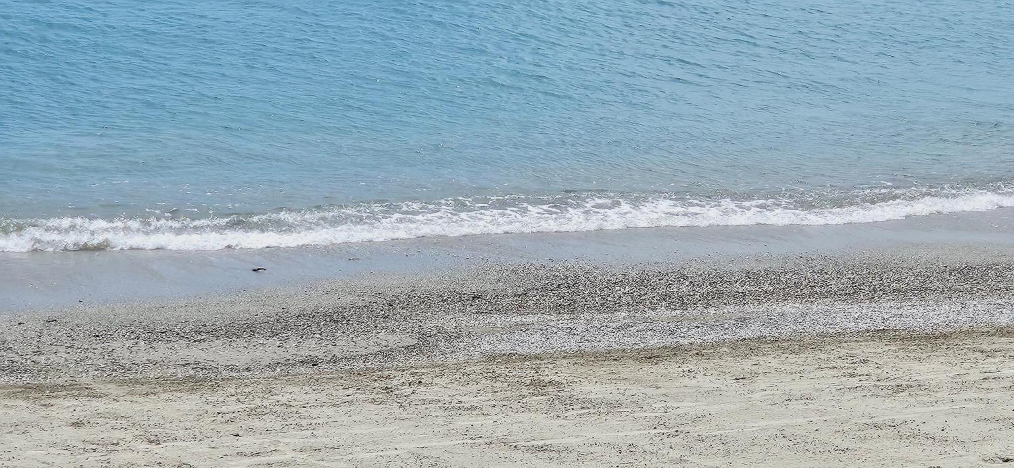 Vista Mare Savona Lejlighed Eksteriør billede